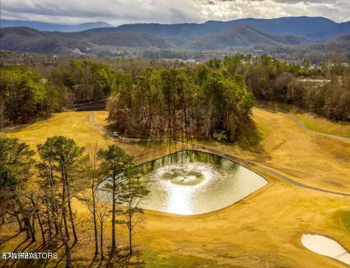 818 Golf View Boulevard, Unit 1502 Pigeon Forge, TN 37863 - Photo 26 of 27 20220515173053988399000000-o