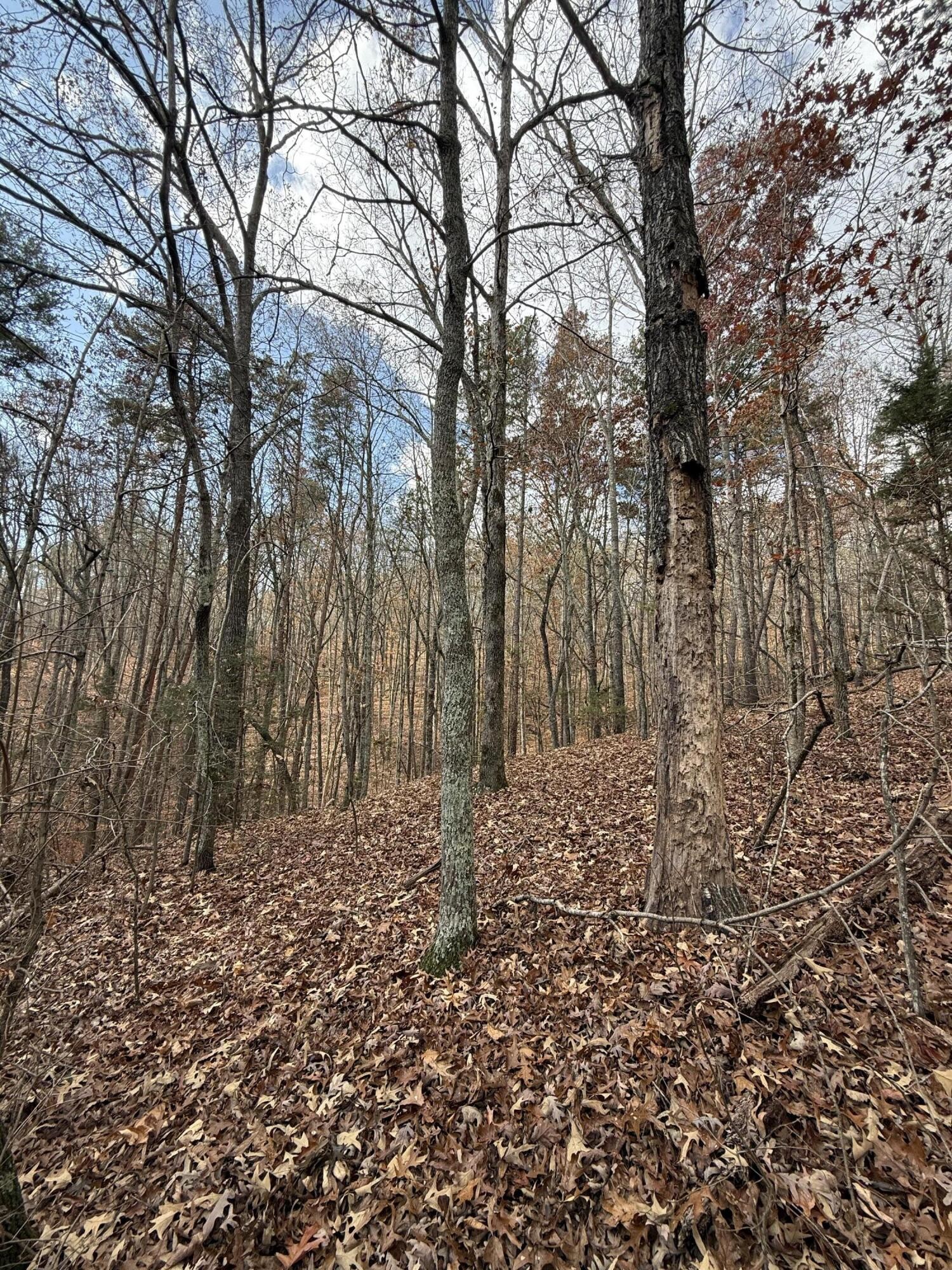 1 Parksville Road Benton, TN 37307 - Photo 11 of 16