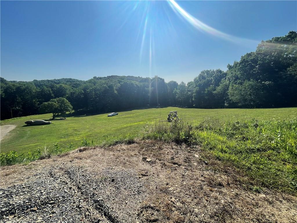 489 Jack Road Vandergrift, PA 15690 - Photo 36 of 47 a view of a field with an trees
