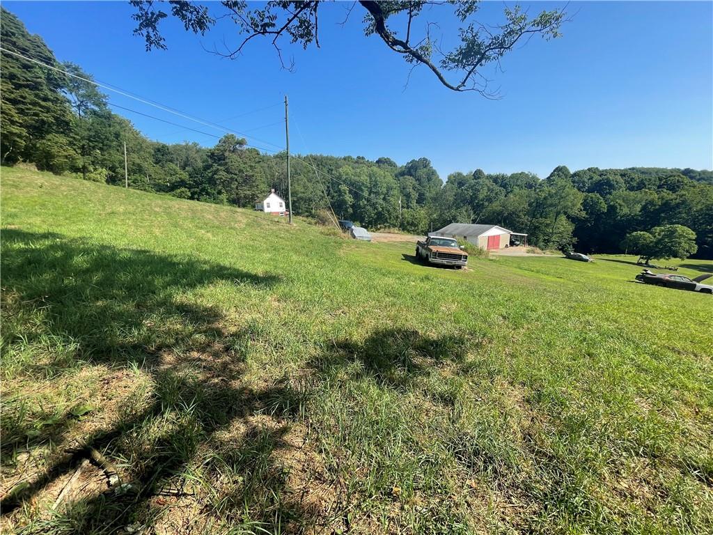 489 Jack Road Vandergrift, PA 15690 - Photo 38 of 47 a view of a lush green space