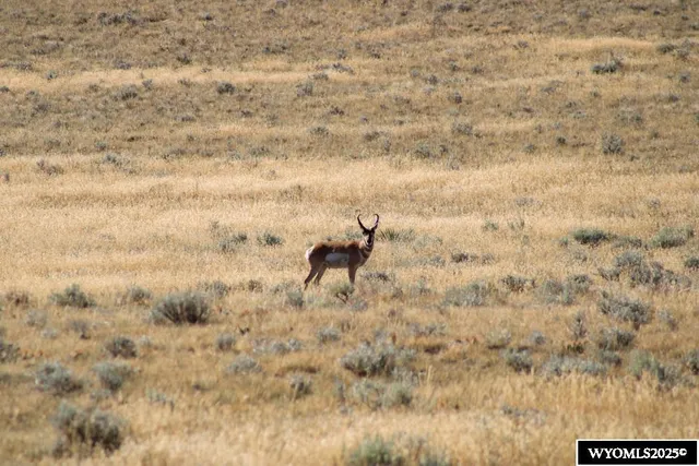 $33,000 | Cowboy Way, Casper, WY 82601