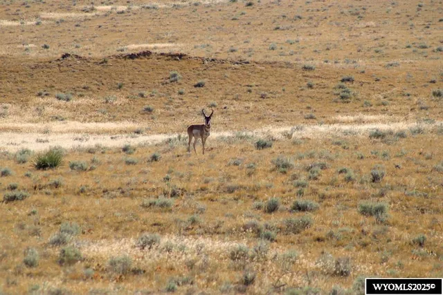 $33,000 | Cowboy Way, Casper, WY 82601