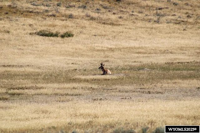 $33,000 | Cowboy Way, Casper, WY 82601