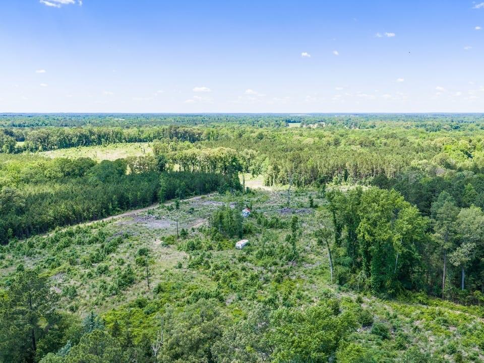 Tbd Mule Deer Road Gilmer, TX 75644 - Photo 4 of 4 a view of a big yard with plants and large trees