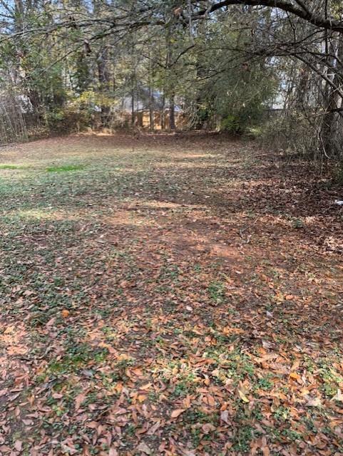 3741 Hopkins Road, Unit A Powder Springs, GA 30127 - Photo 24 of 25 a view of dirt field with large trees