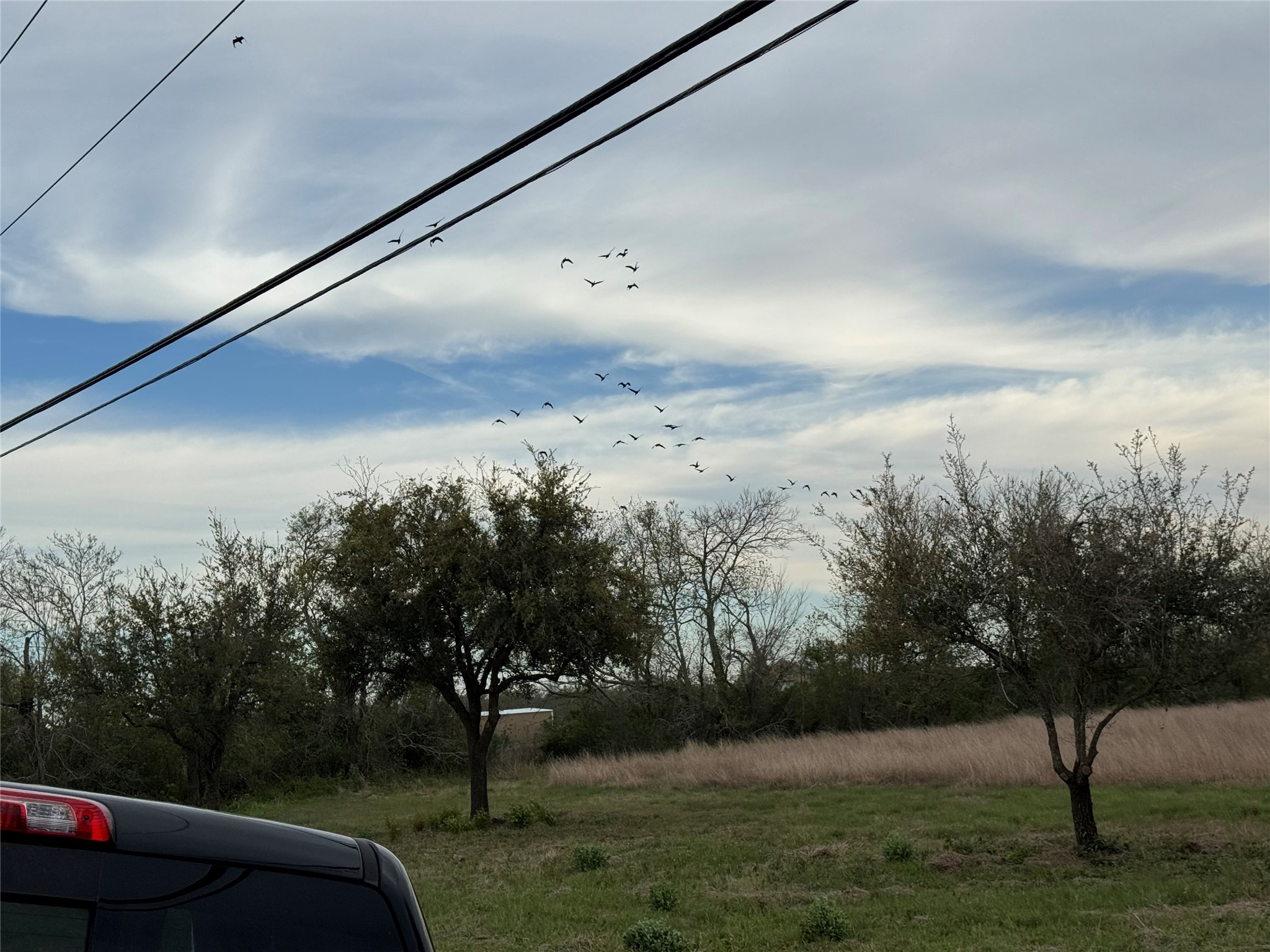 0 County Road 46 Angleton, TX 77515 - Photo 4 of 14