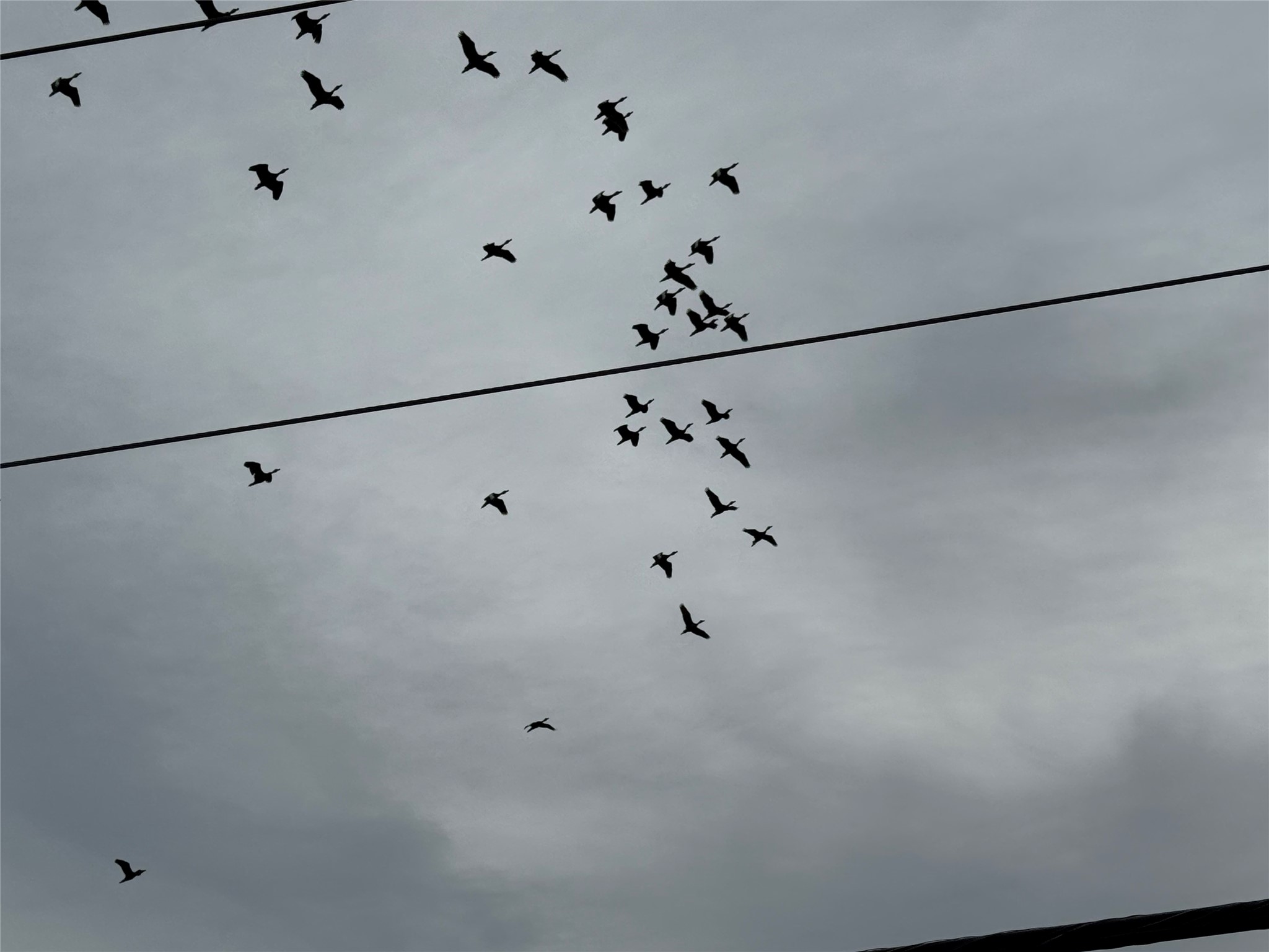 0 County Road 46 Angleton, TX 77515 - Photo 5 of 14