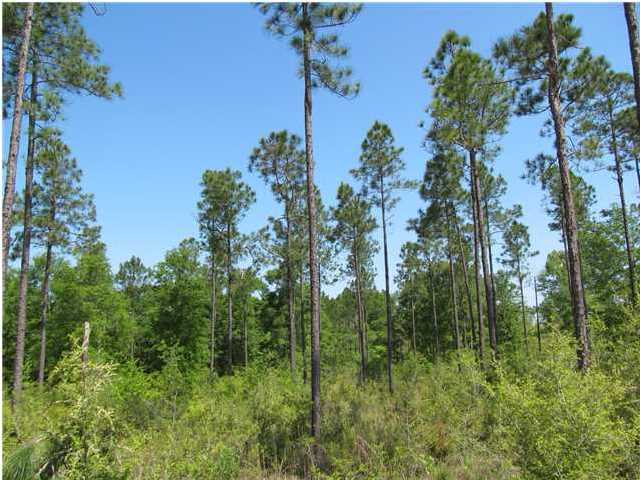 92-ac Punch Bowl Road DeFuniak Springs, FL 32433 - Photo 3 of 8