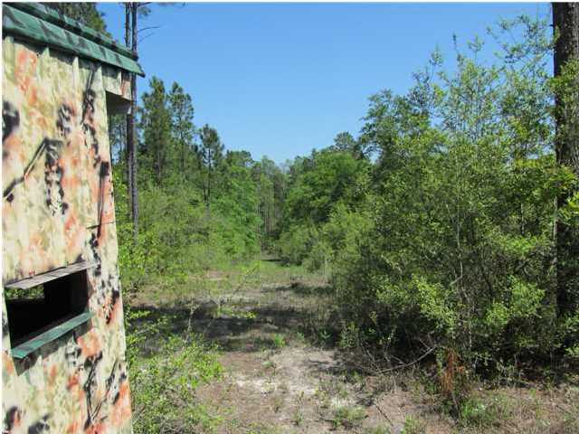92-ac Punch Bowl Road DeFuniak Springs, FL 32433 - Photo 5 of 8 a view of backyard with green space