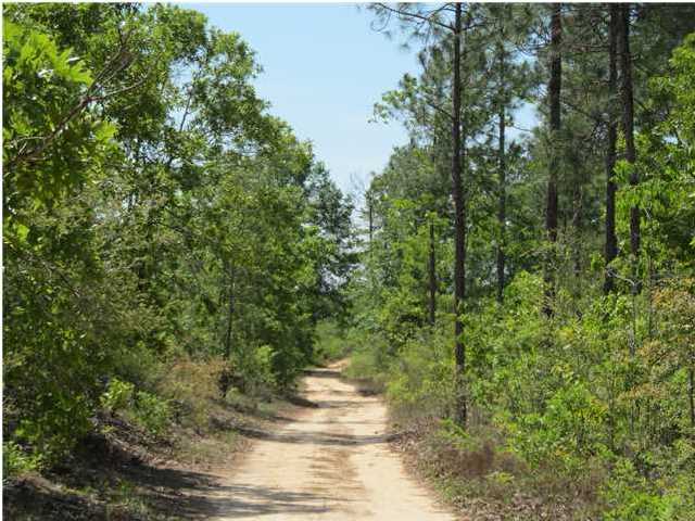 92-ac Punch Bowl Road DeFuniak Springs, FL 32433 - Photo 7 of 8 a view of a yard with a tree