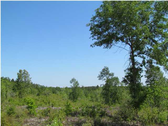 92-ac Punch Bowl Road DeFuniak Springs, FL 32433 - Photo 8 of 8 a view of a lake