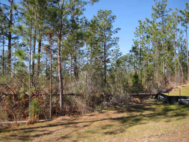 33733 Rutland Lane Daphne, AL 36527 - Photo 20 of 26