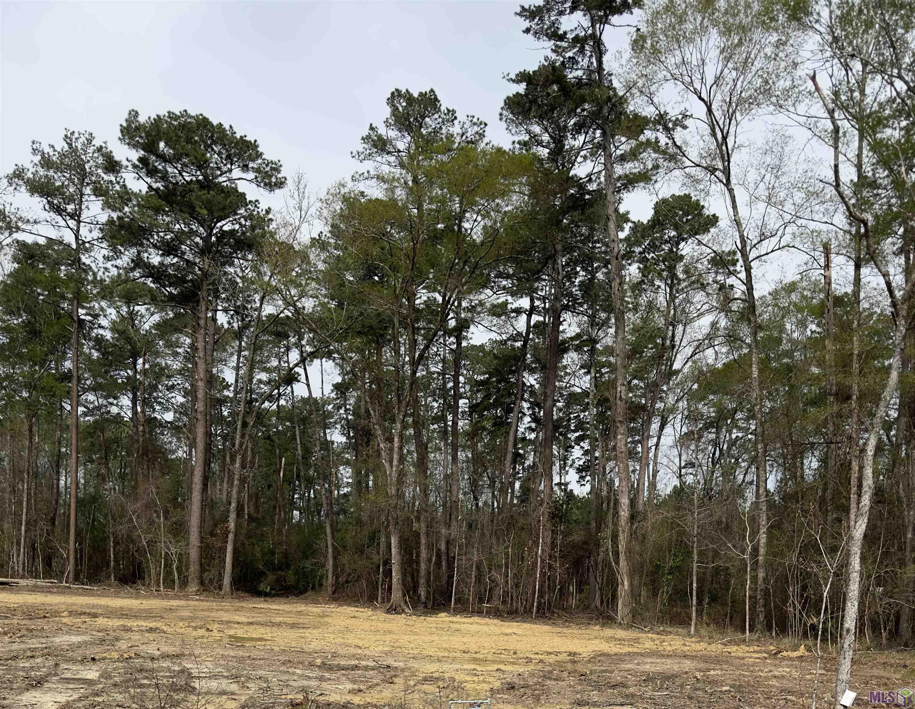 Lot B3 Reinninger Road Denham Springs, LA 70706 - Photo 2 of 4