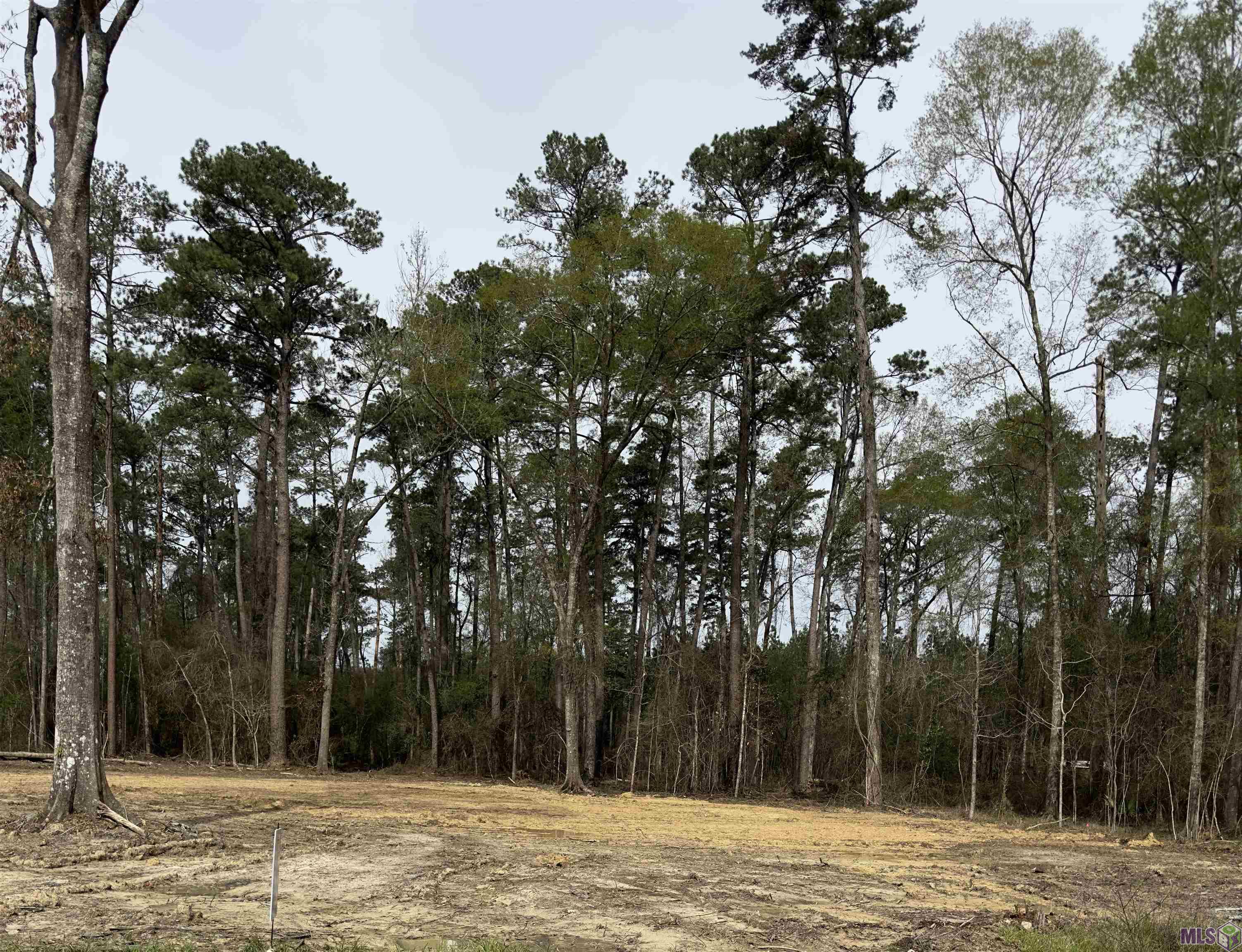 Lot B3 Reinninger Road Denham Springs, LA 70706 - Photo 3 of 4