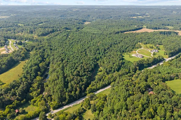 an aerial view of forest