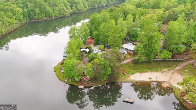 a view of a lake in middle of the forest
