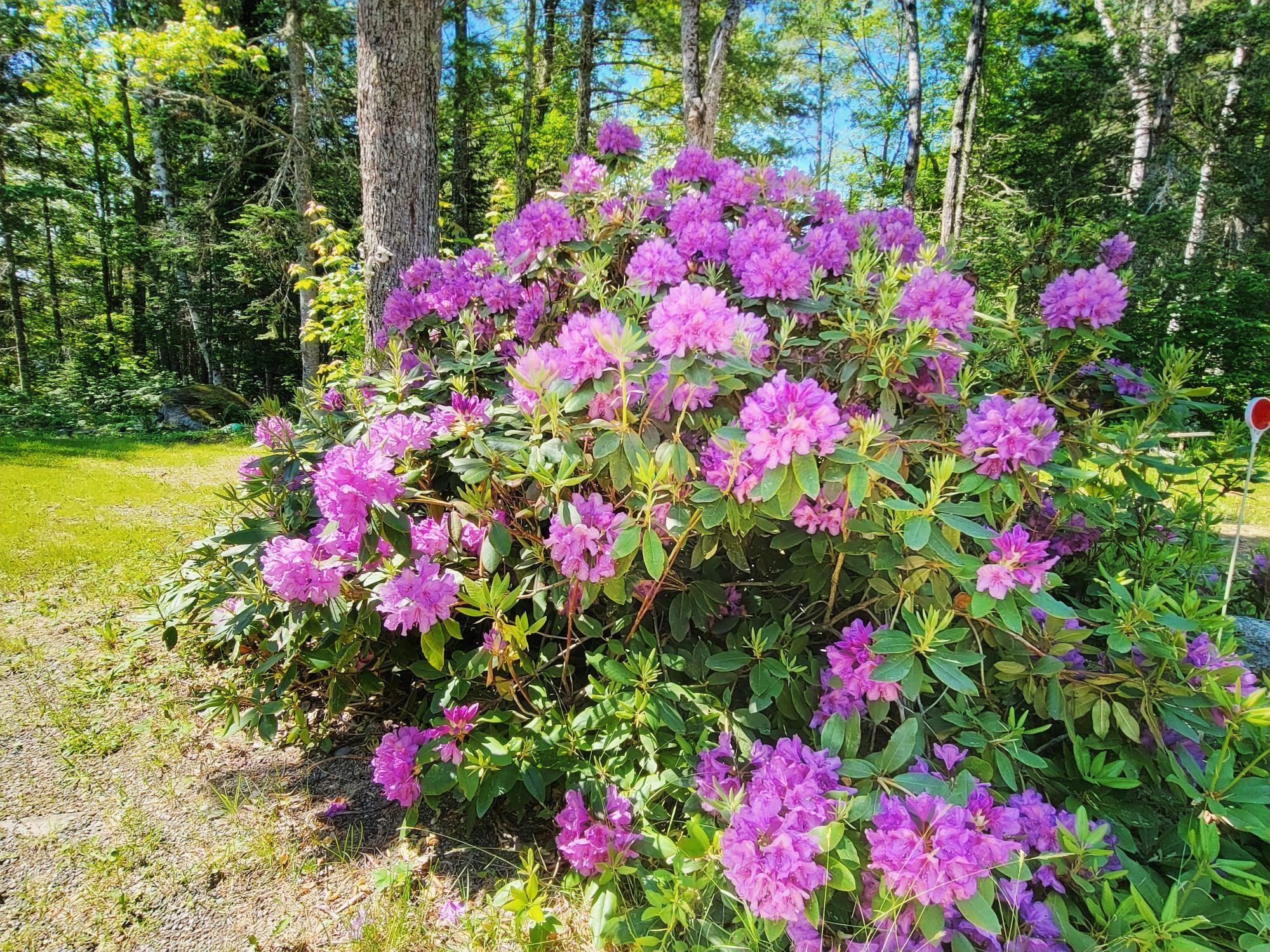 500 Morrison Farm Road Mariaville, ME 04605 - Photo 56 of 56