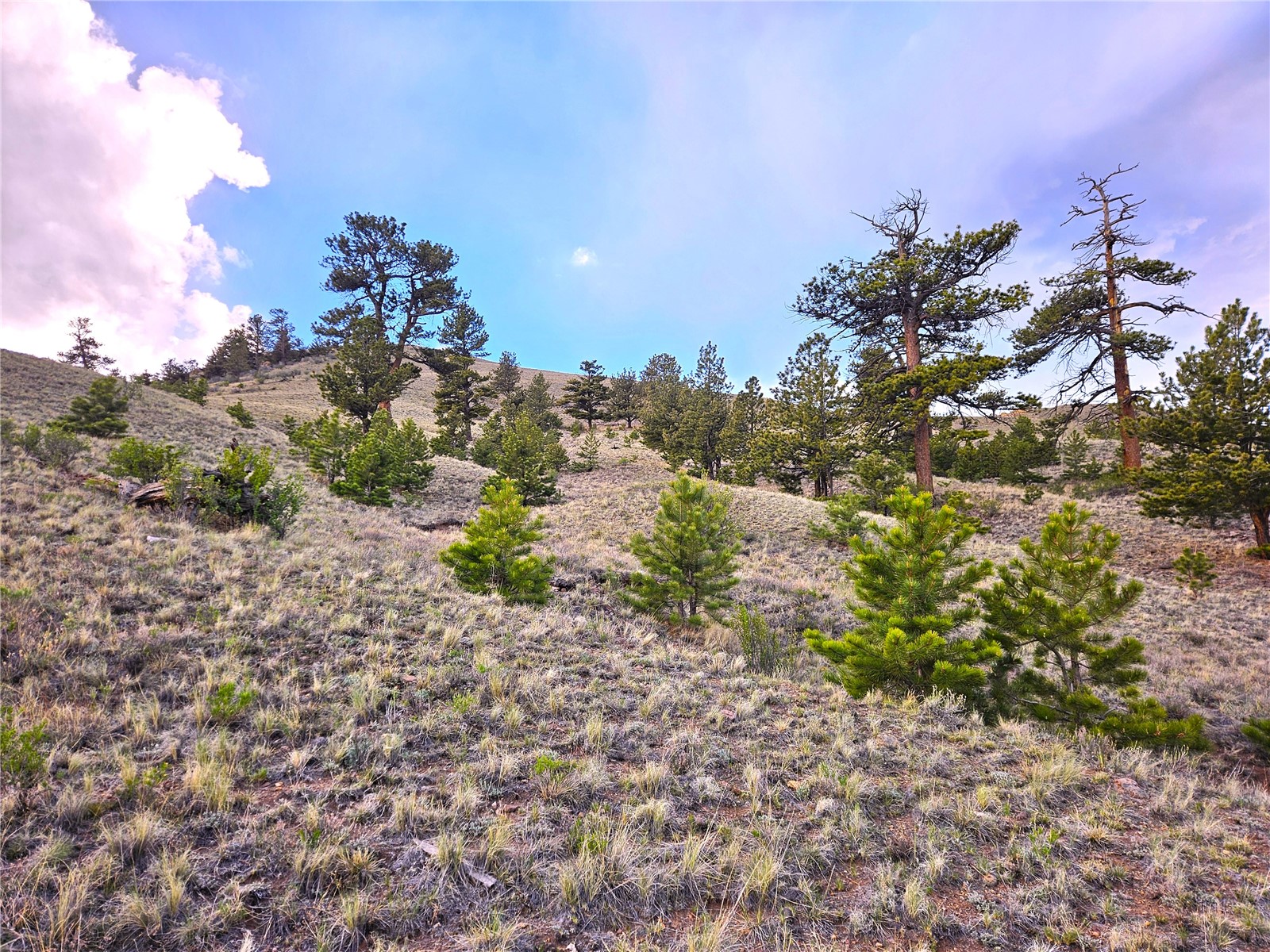 Pcs#25427 Yuma Road Hartsel, CO 80449 - Photo 22 of 29
