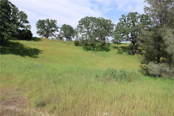$45,000 | 7325 Bluebird Road, Corning, CA 96021