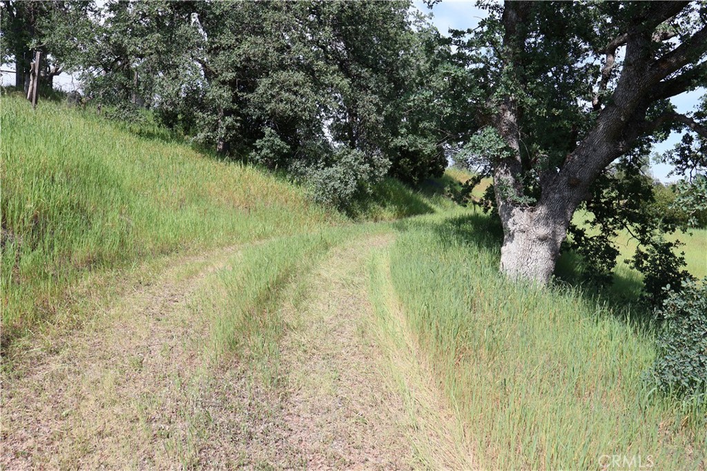 7325 Bluebird Road Corning, CA 96021 - Photo 3 of 10