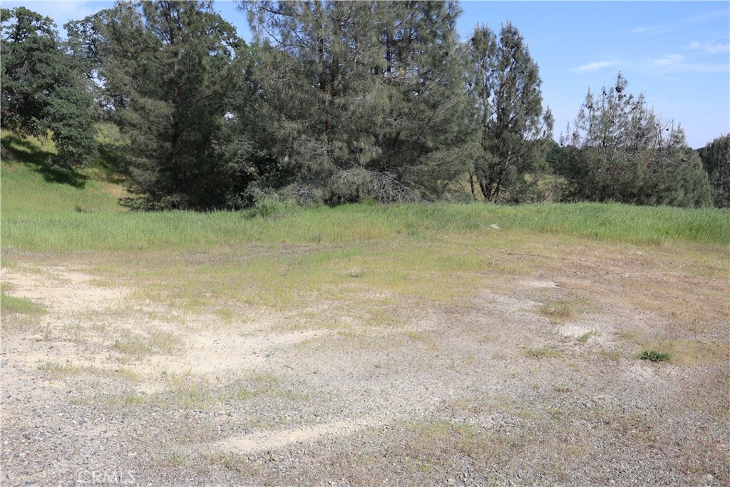 7325 Bluebird Road Corning, CA 96021 - Photo 7 of 10