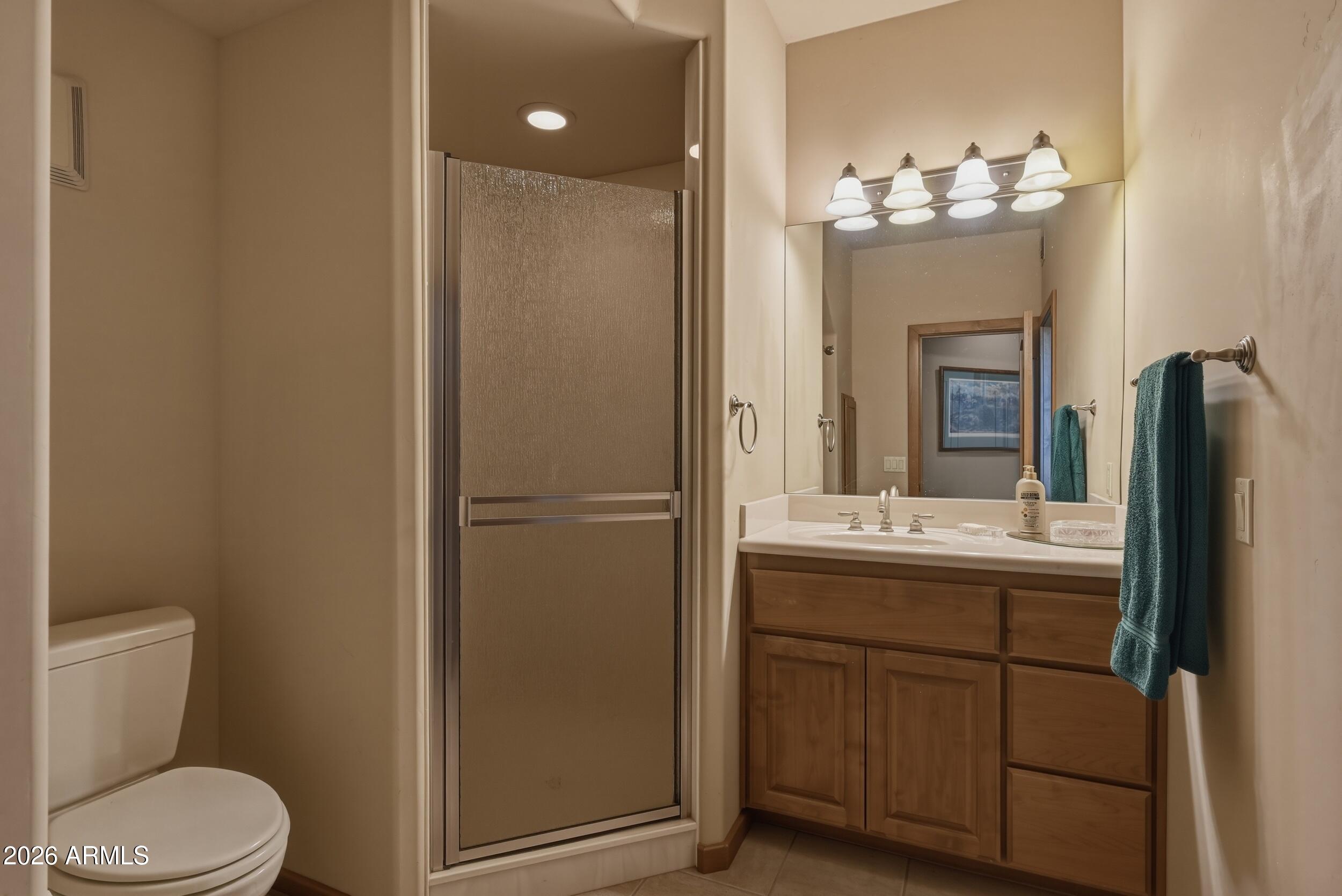 3101 East Mayfield Payson, AZ 85541 - Photo 53 of 71 a bathroom with a sink a toilet and mirror