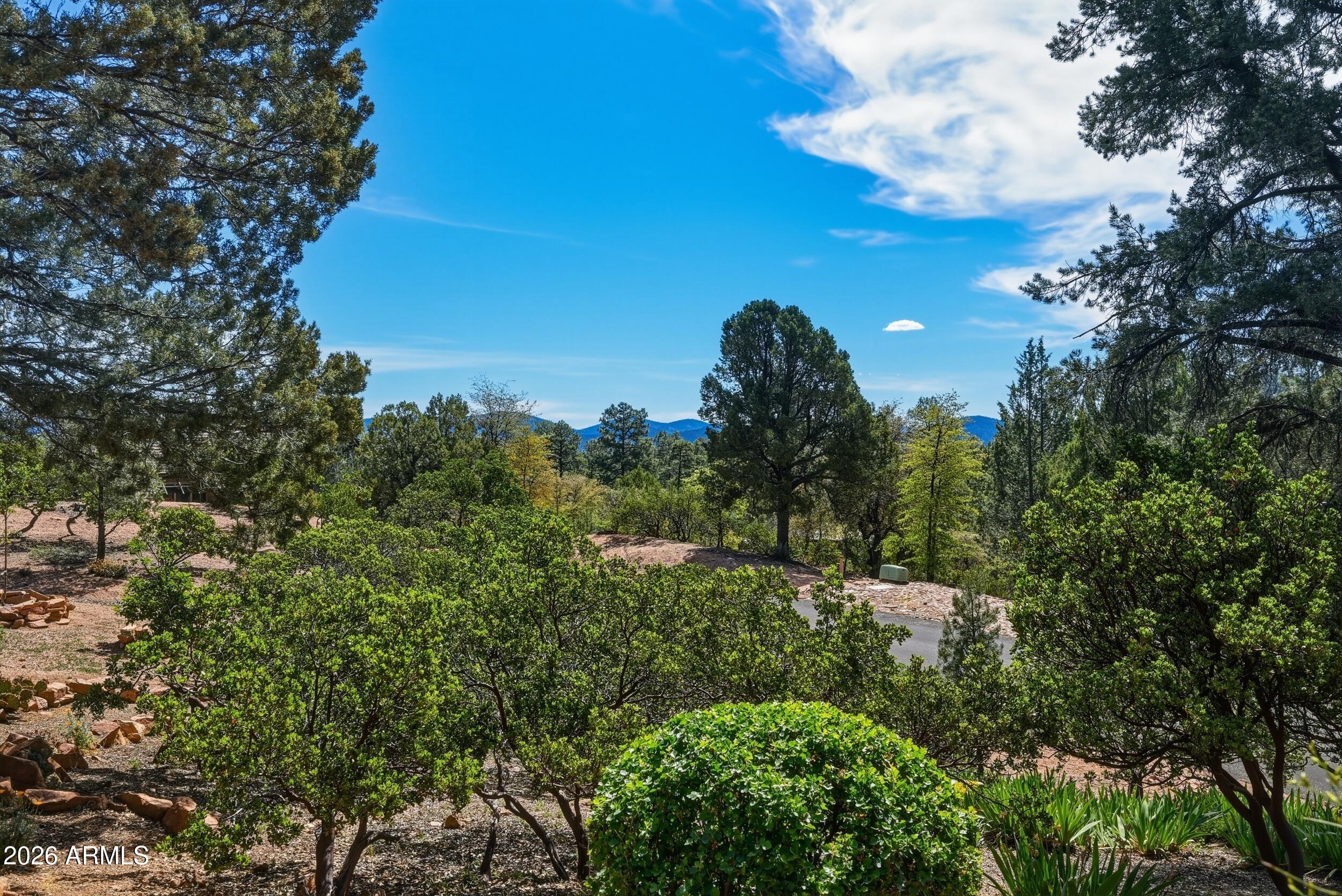 3101 East Mayfield Payson, AZ 85541 - Photo 59 of 71 57_dse_1731