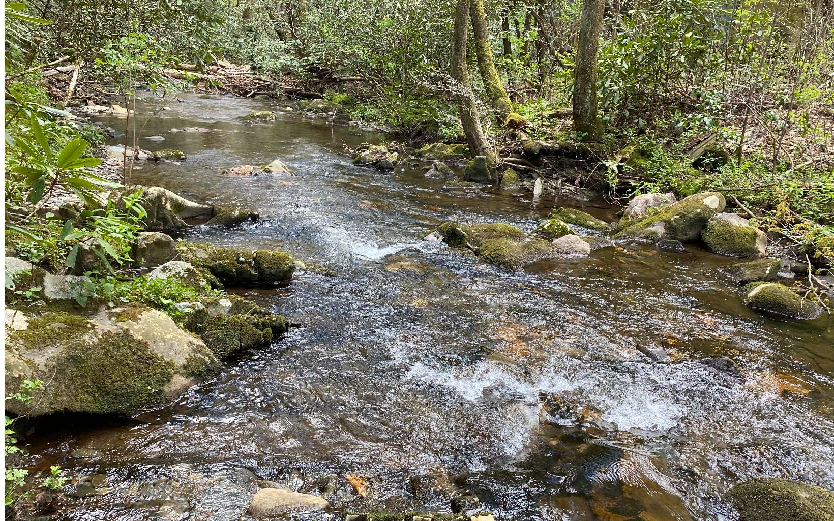 5-ac 5-ac Jacks River Road Epworth, GA 30541 - Photo 4 of 4