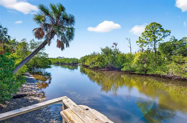 a view of a lake with a palm tree