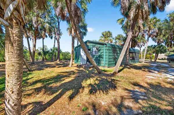 a view of a backyard with a tree