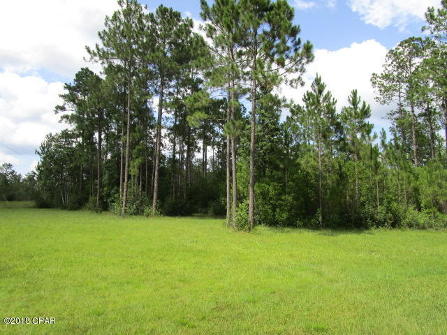 22937 Longleaf Road Fountain, FL 32438 - Photo 6 of 23 Gallery Image 6