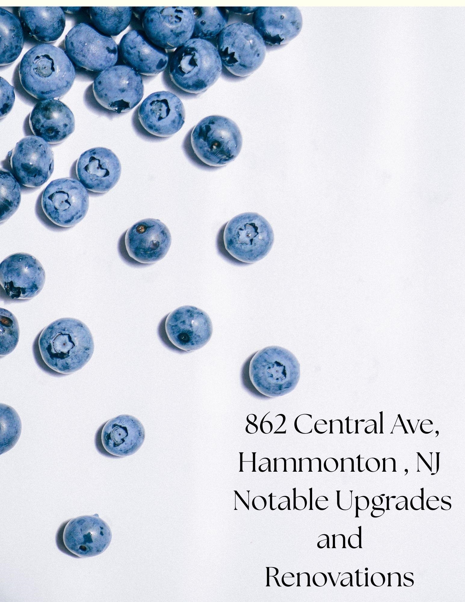 862 Central Hammonton, NJ 08037 - Photo 42 of 46