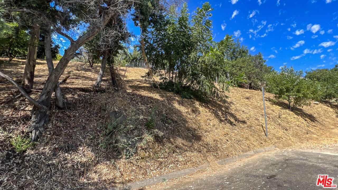 448 Beech Street Los Angeles, CA 90065 - Photo 22 of 31 a view of a yard with a tree