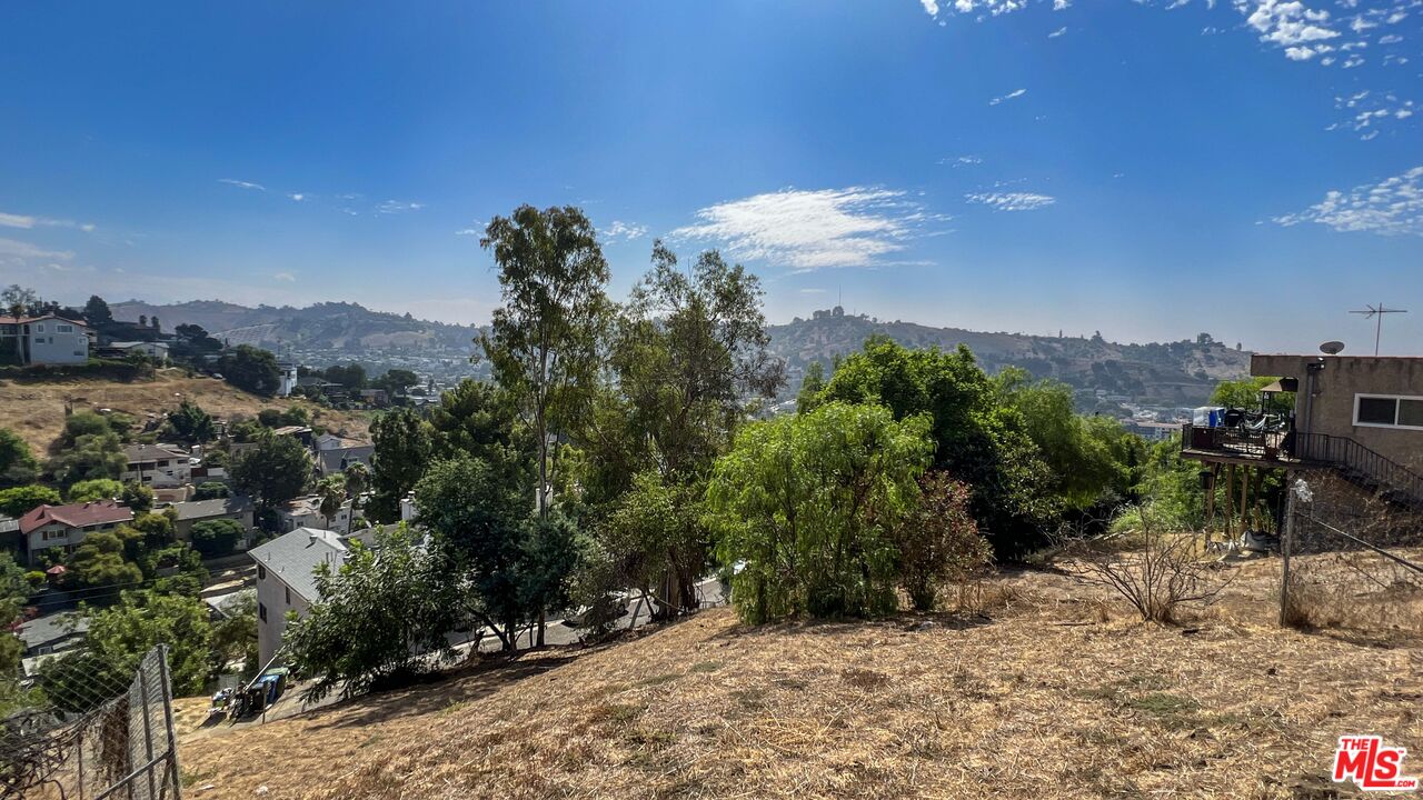 448 Beech Street Los Angeles, CA 90065 - Photo 24 of 31 a view of a city with lush green forest