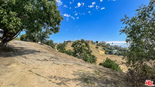 a view of a dry yard with trees in the background
