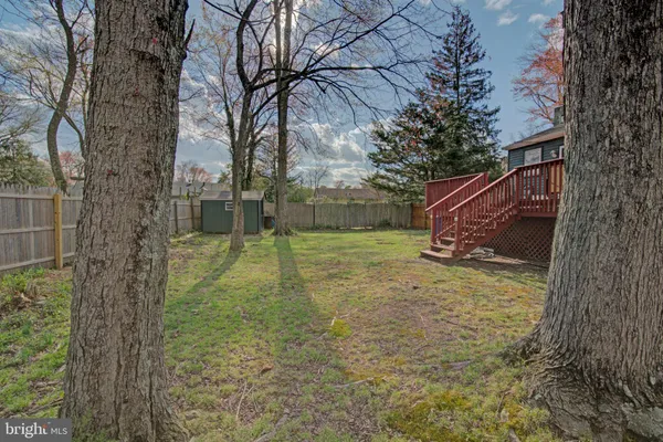 a view of a yard with a trees