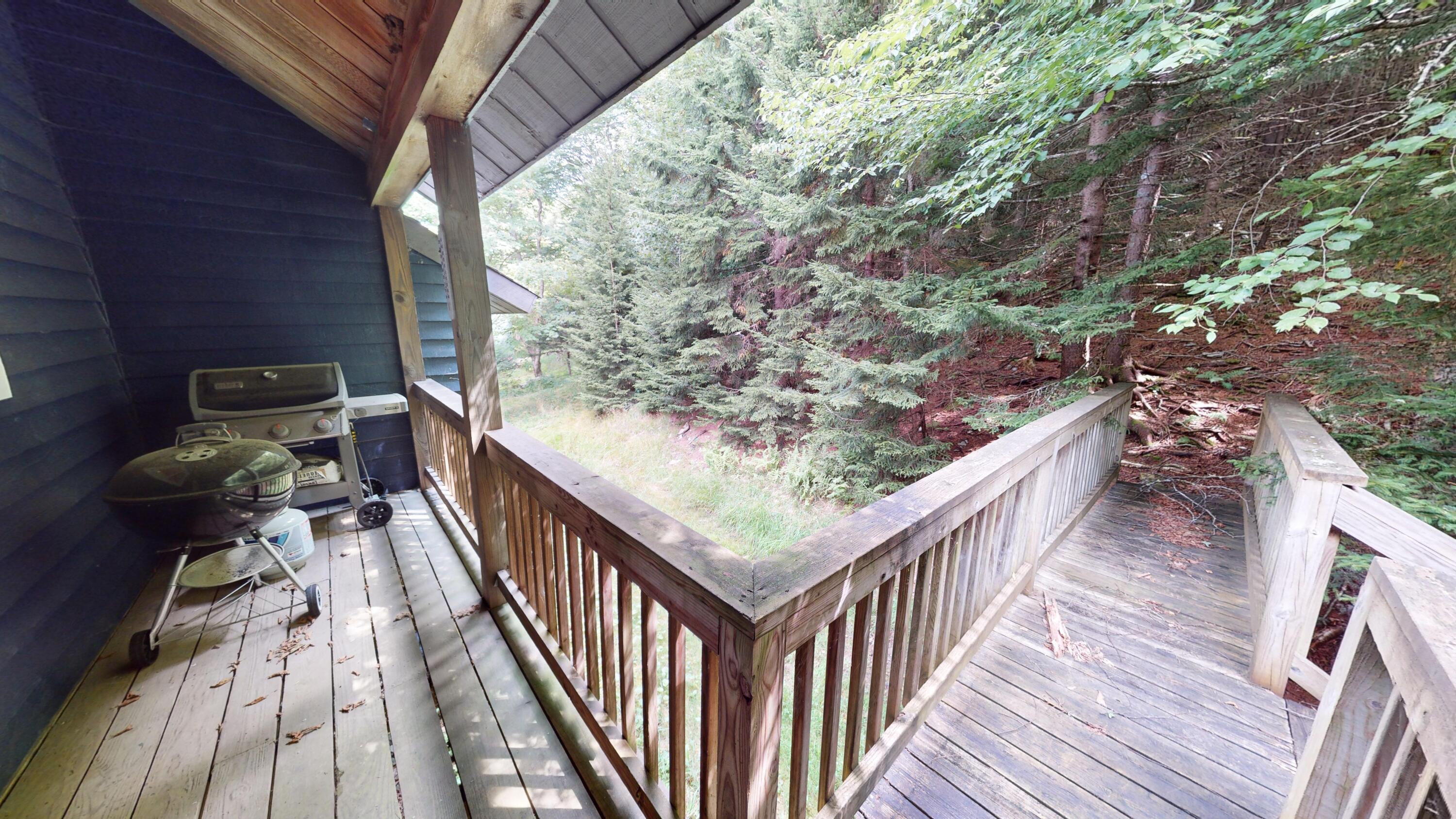 1197 North Westridge Road Slatyfork, WV 26291 - Photo 23 of 36 Gallery Image 23