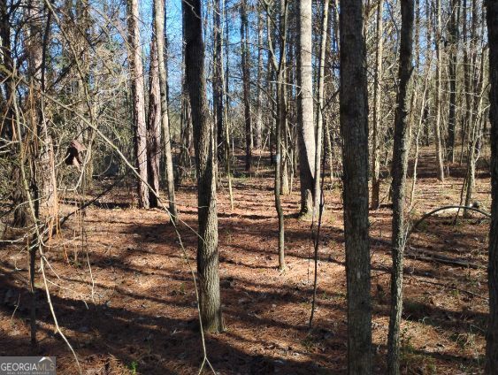 2331 Kesler Road Carnesville, GA 30521 - Photo 16 of 50 a view of outdoor space