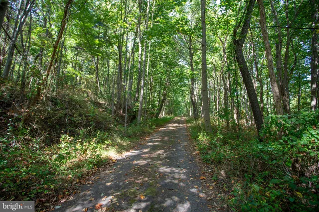 $199,900 | Tbd Jackson Lane, Boston, VA 22713