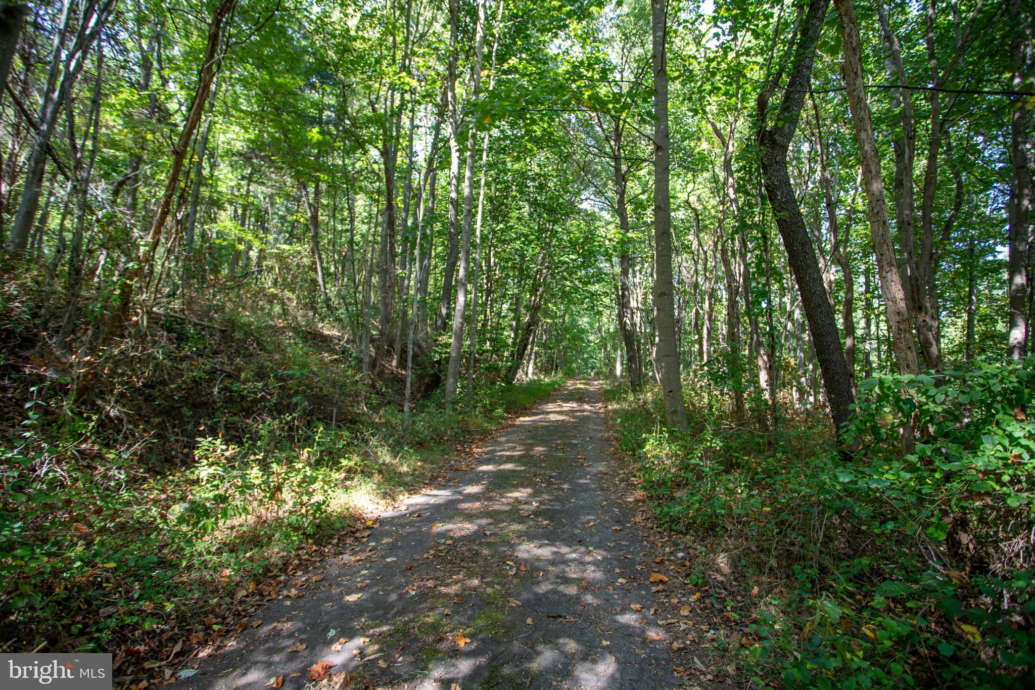 Tbd Jackson Lane Boston, VA 22713 - Photo 16 of 32