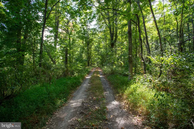 $199,900 | Tbd Jackson Lane, Boston, VA 22713