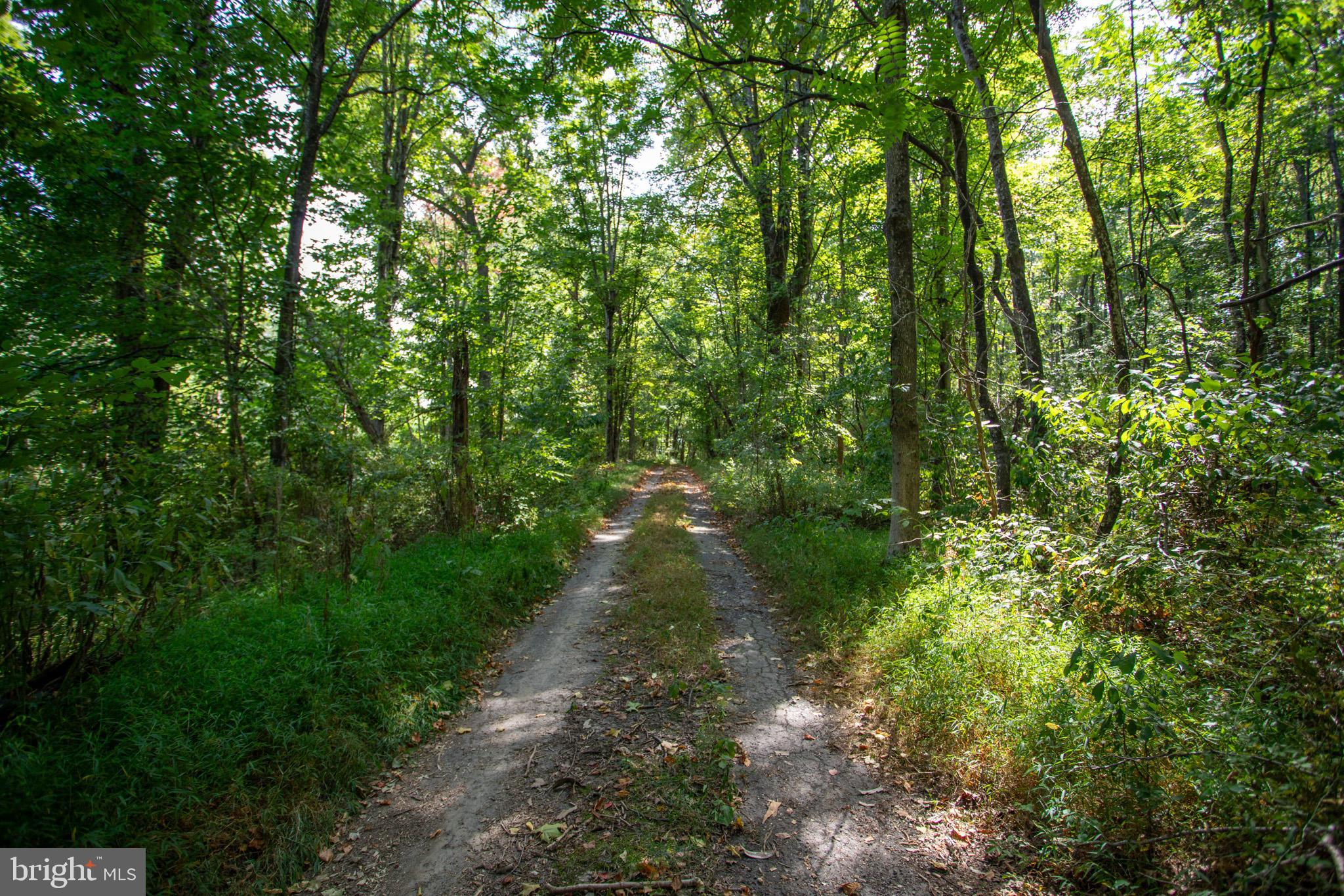Tbd Jackson Lane Boston, VA 22713 - Photo 17 of 32