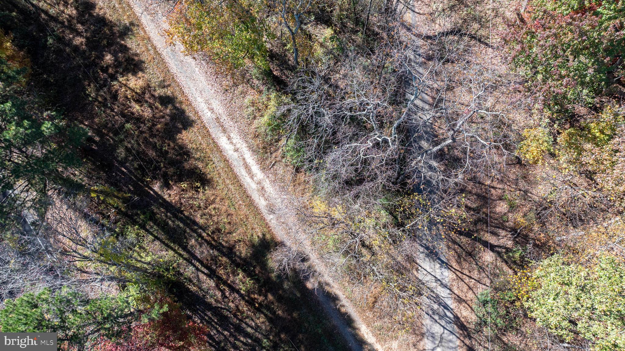 Tbd Jackson Lane Boston, VA 22713 - Photo 25 of 32