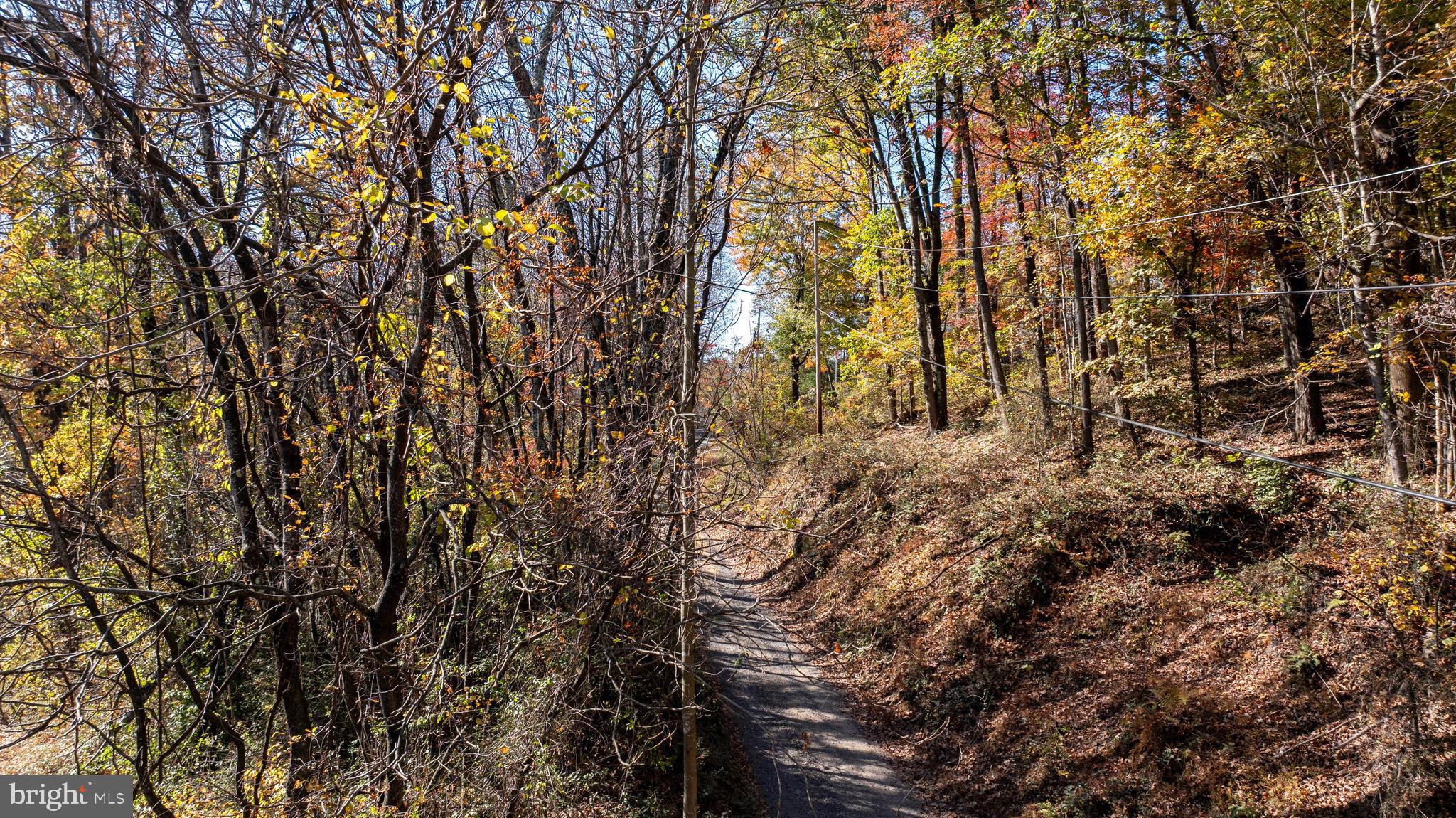 Tbd Jackson Lane Boston, VA 22713 - Photo 26 of 32