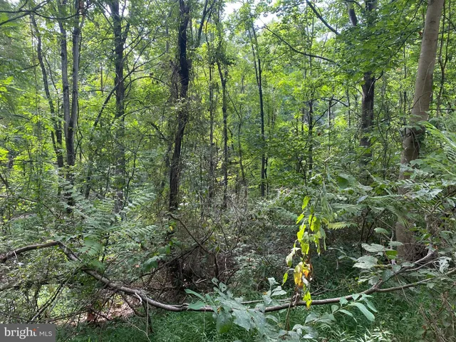 $199,900 | Tbd Jackson Lane, Boston, VA 22713