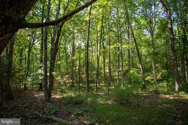 $179,900 | Tbd Jackson Lane, Boston, VA 22713