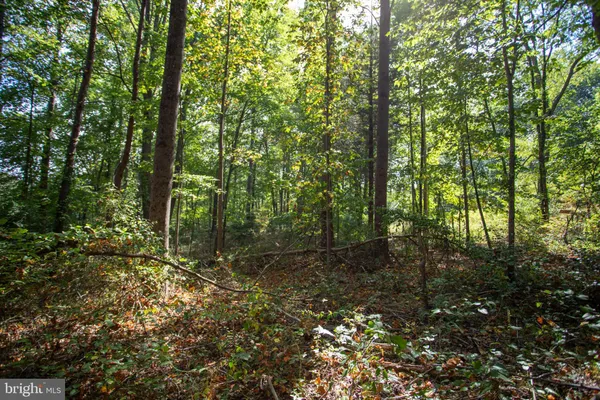 $179,900 | Tbd Jackson Lane, Boston, VA 22713