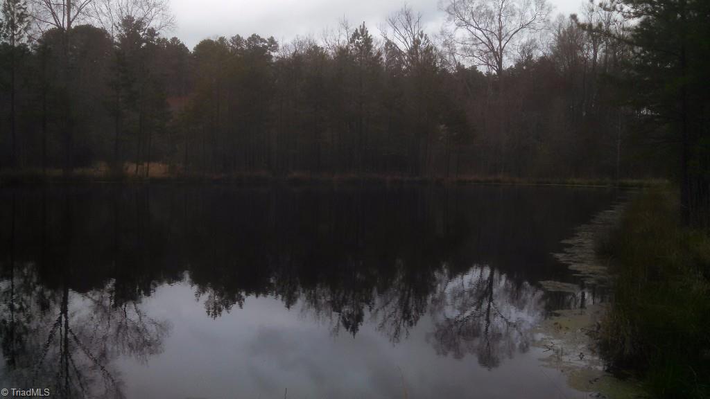 523 Gap Road Seagrove, NC 27341 - Photo 11 of 15