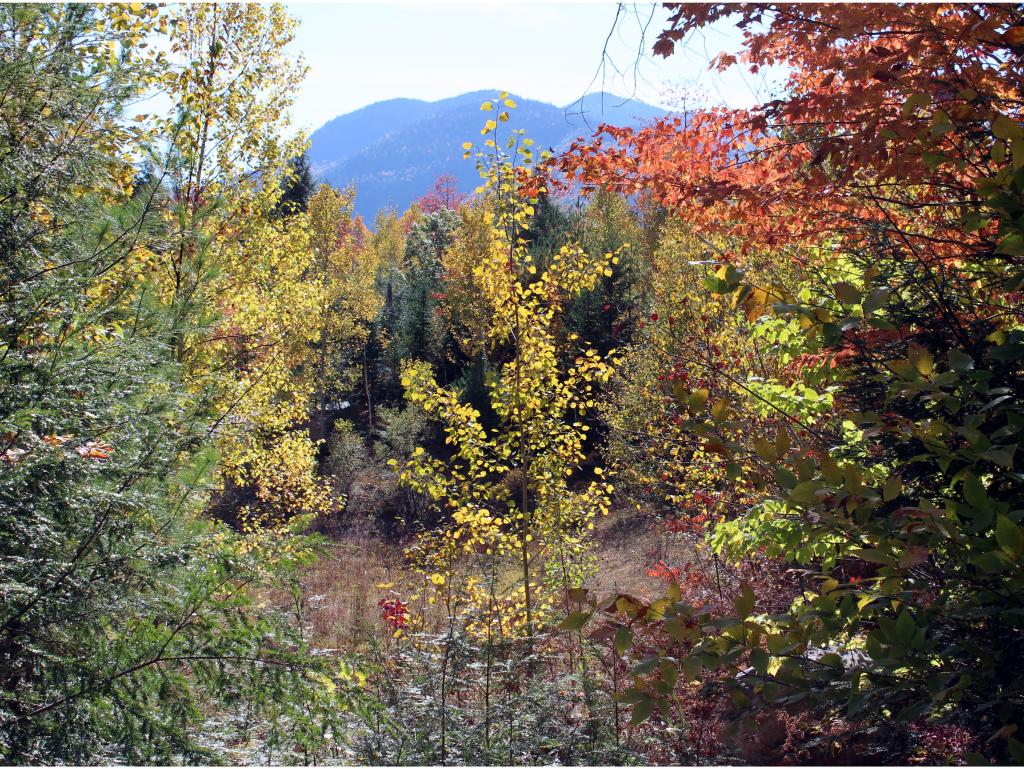 Lot E54 Stanton Farm Road Bartlett, NH 03812 - Photo 1 of 19