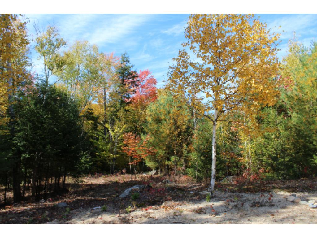 Lot E54 Stanton Farm Road Bartlett, NH 03812 - Photo 4 of 19